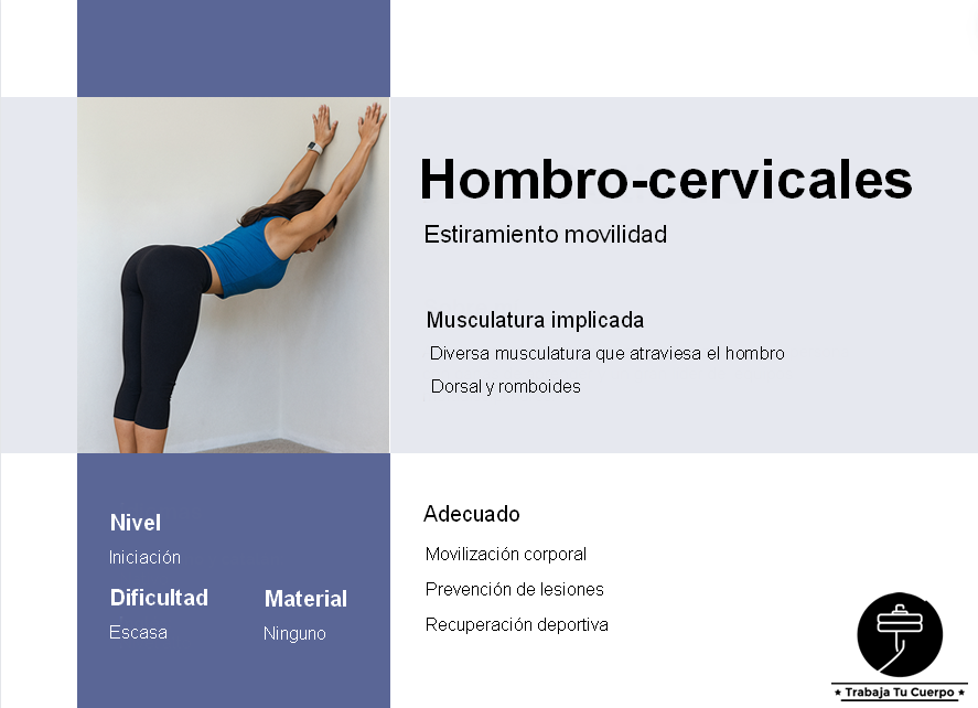 Hombro cervicales