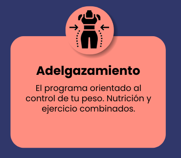 Programa de adelgazamiento